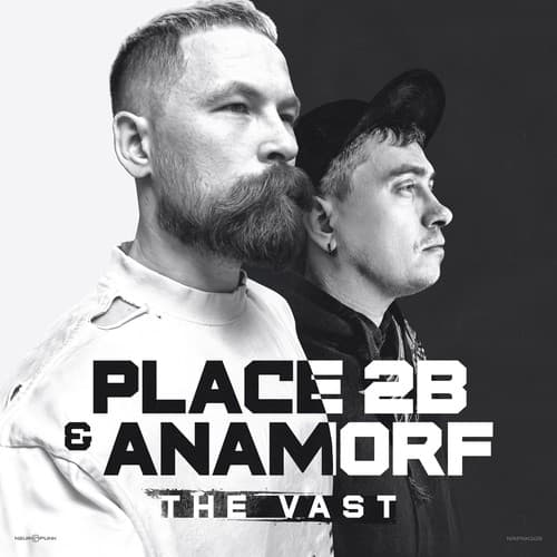 Обложка Place 2b & Anamorf - The Vast