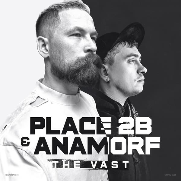 Обложка Place 2b & Anamorf - The Vast