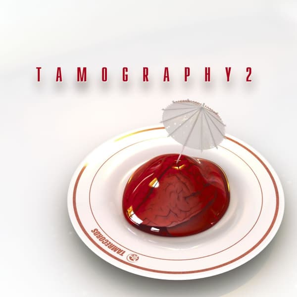 Cover VA - Tamography 2 LP