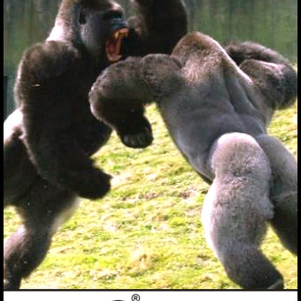 Cover mixed by Bes - Neuropunk.ru pt.8