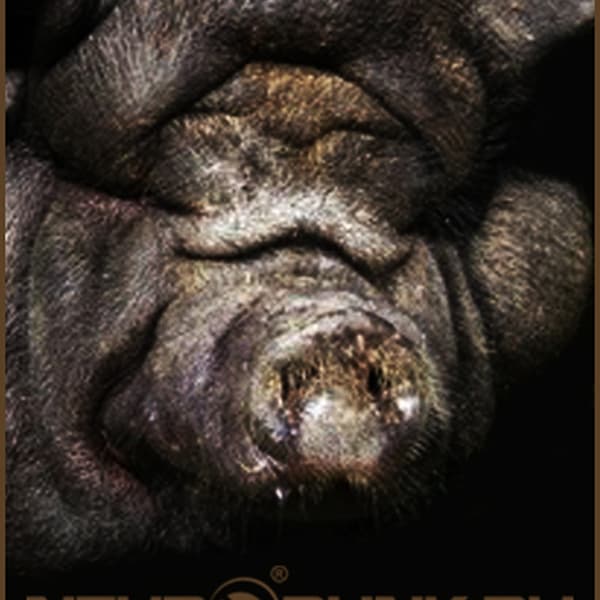 Cover mixed by Bes - THE FAT