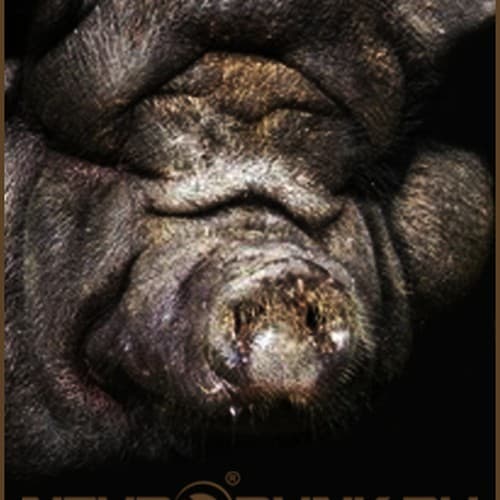 Обложка mixed by Bes - THE FAT